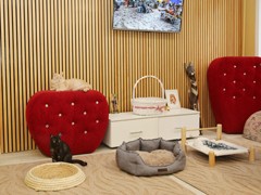 Администрация Воронежа поддержала благотворительный проект фонда &laquo;Право на жизнь&raquo;