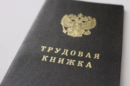 Большинство воронежцев не берут деньги в долг