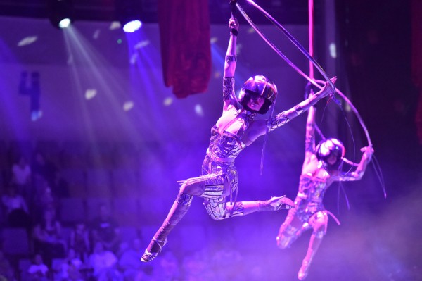 В Воронежском цирке дрессировщик засовывает голову в пасть льву и носит его на руках