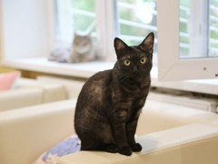 Администрация Воронежа поддержала благотворительный проект фонда &laquo;Право на жизнь&raquo;