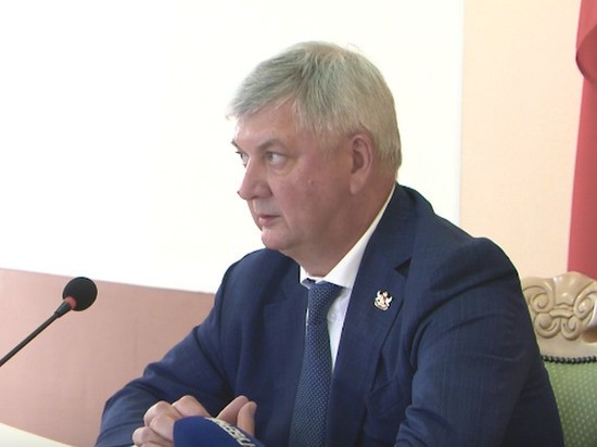 Бюджетникам в Воронежской области могут поднять зарплату на 15%