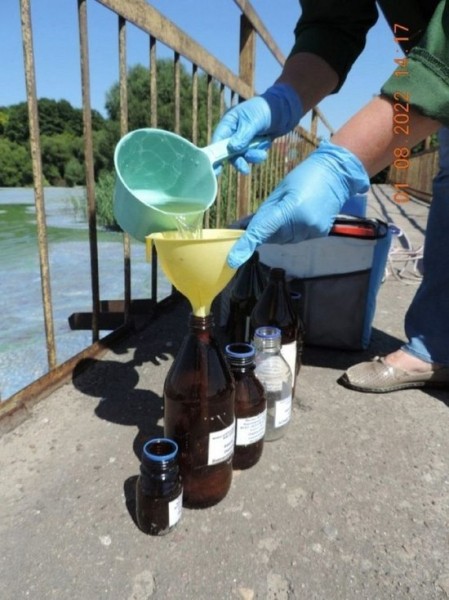 Масловский затон Воронежского водохранилища зацвел от неочищенных сточных вод