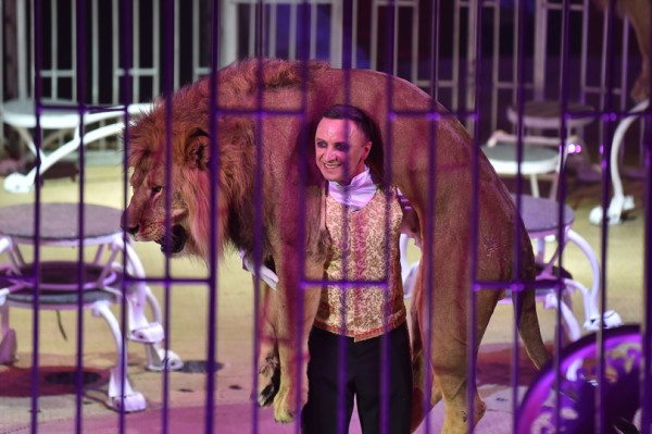 В Воронежском цирке дрессировщик засовывает голову в пасть льву и носит его на руках