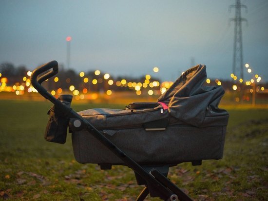 Женщине, бросившей полуторагодовалую дочь на улице в Воронеже, предстоит отработать 310 часов