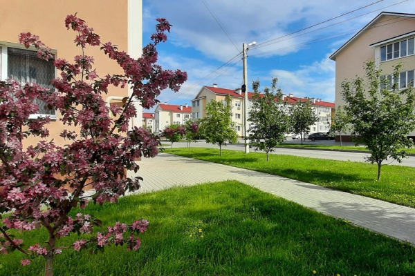 &laquo;Покупка недвижимости &ndash; всегда верное решение&raquo;. Воронежский застройщик &ndash; о проблемах и ожиданиях отрасли