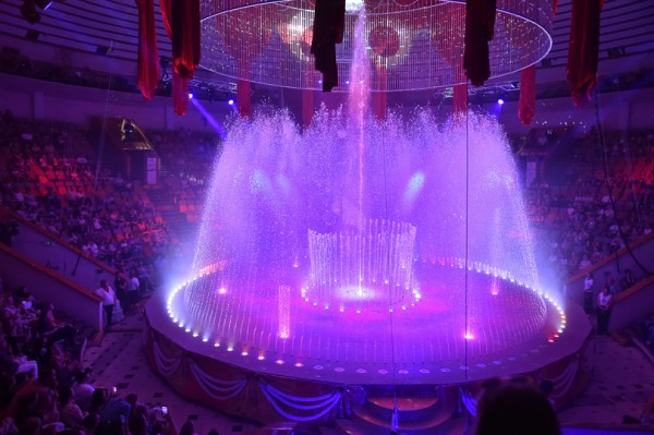 В Воронежском цирке дрессировщик засовывает голову в пасть льву и носит его на руках