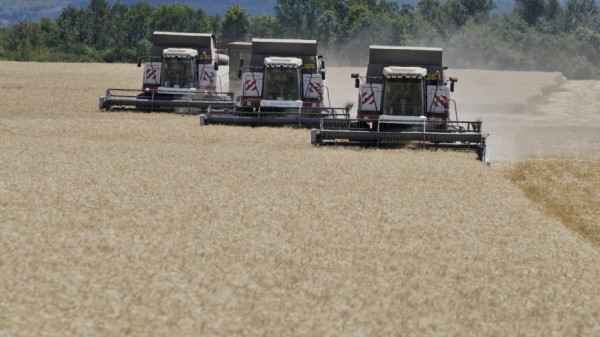 Воронежская область вошла в число лидеров по спросу на сельскохозяйственных специалистов