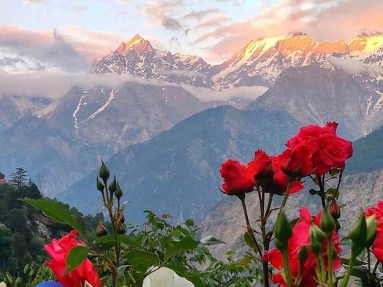 Воронежских школьников и ученых пригласили принять участие в экологическом диктанте