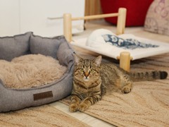 Администрация Воронежа поддержала благотворительный проект фонда &laquo;Право на жизнь&raquo;