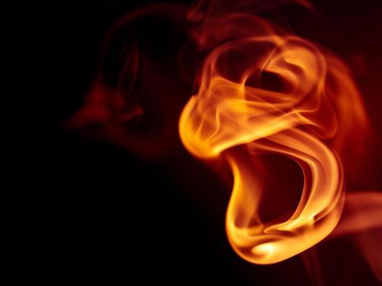 В Воронеже нашли незаконную табачную фабрику с товаром на сумму 400 млн рублей