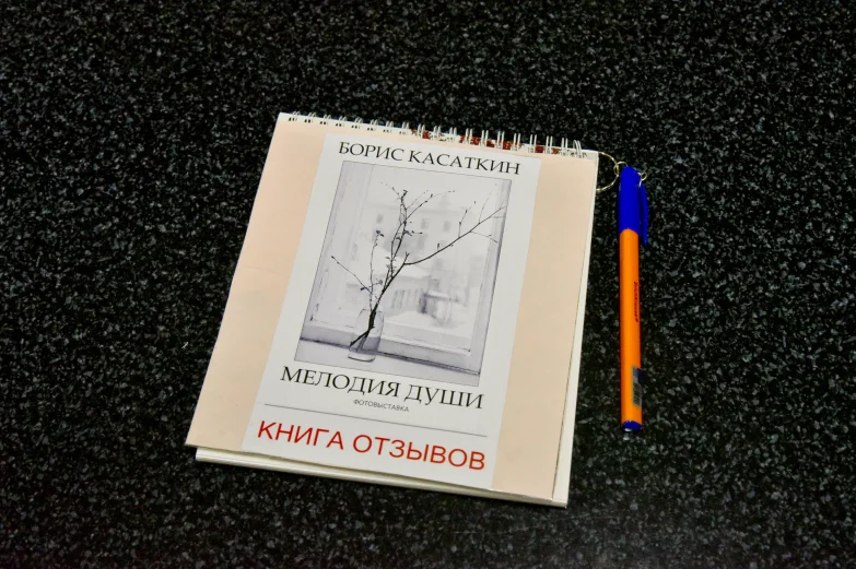 &laquo;Мелодия души&raquo;. В Воронеже открылась фотовыставка Бориса Касаткина