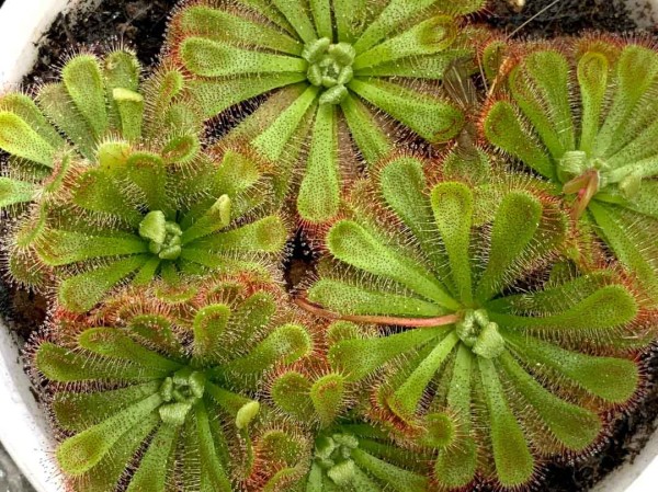 Гид РИА &laquo;Воронеж&raquo;. Чем заняться в первые выходные октября