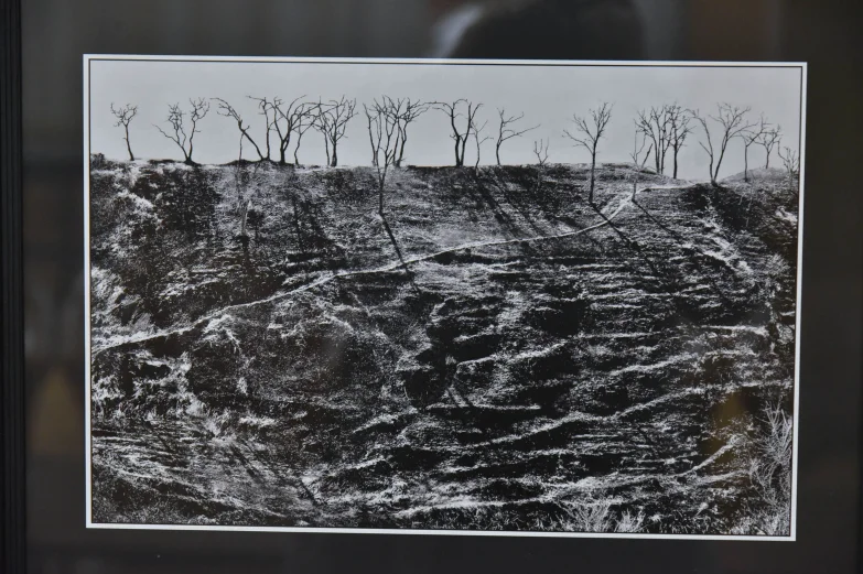 &laquo;Мелодия души&raquo;. В Воронеже открылась фотовыставка Бориса Касаткина