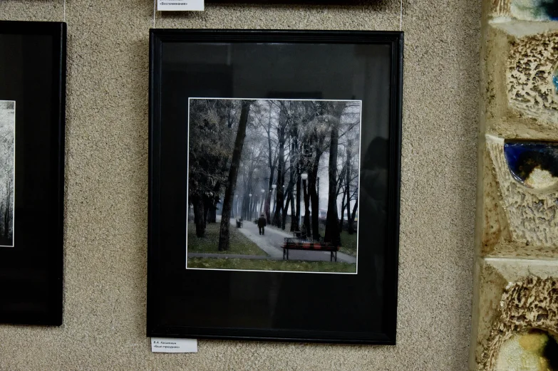 &laquo;Мелодия души&raquo;. В Воронеже открылась фотовыставка Бориса Касаткина