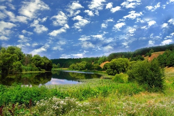 
Федеральные власти попытаются отнять у строительной компании 47 участков рядом с рекой Дон
