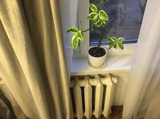 В понедельник в Воронеже заработают телефоны &laquo;для жалоб на отопление&raquo;