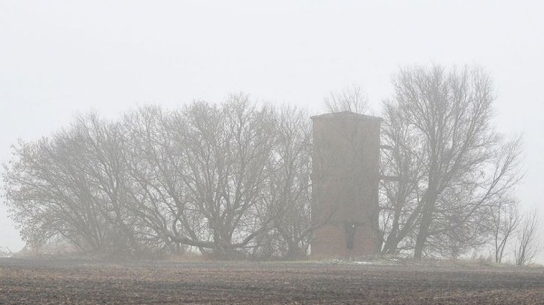 Туман накроет Воронежскую область в ночь на воскресенье