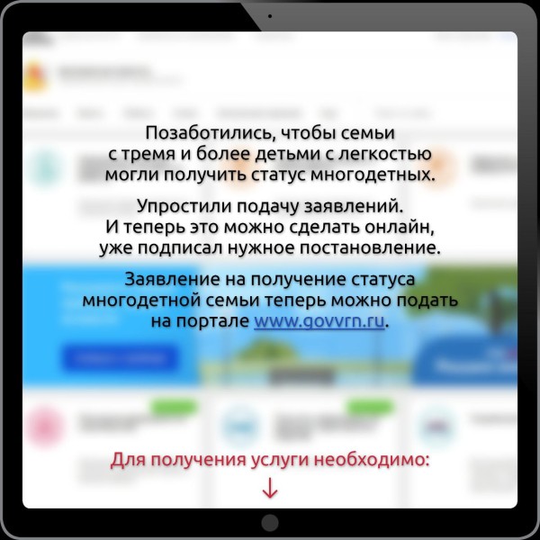 В Воронежской области статус многодетных теперь можно получить онлайн через сайт GovVrn.ru