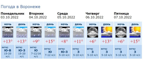 Воронежцев ожидает дождливая рабочая неделя
