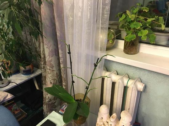 В Воронеже 60 процентов домов получили тепло