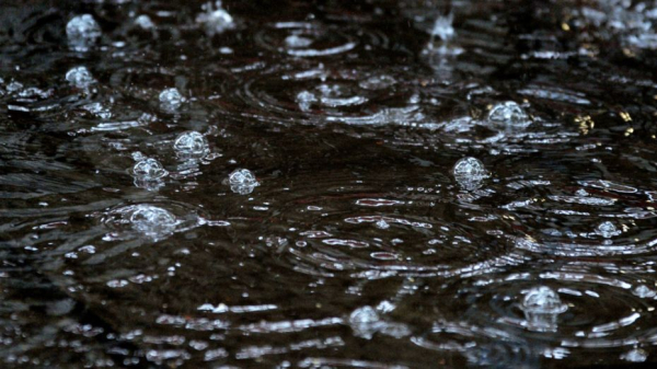 Сильные дожди вновь придут в Воронежскую область